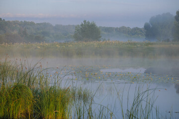 mist on the river