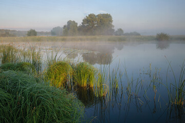 misty morning on the river