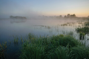 Fototapeta premium morning mist over the river