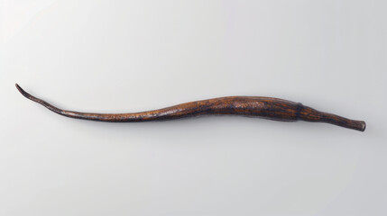 vanilla bean isolated on white background