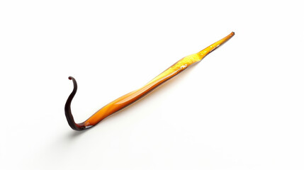 vanilla bean isolated on white background