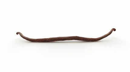 vanilla bean isolated on white background