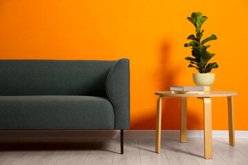 Stylish sofa, plant and books on coffee table near orange wall