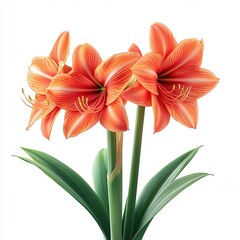 Vibrant amaryllis flowers botanical garden close-up photography natural light floral composition beauty of nature