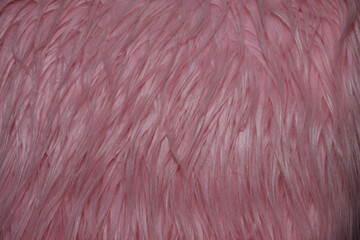 texture and pink fluffy fur in the interior