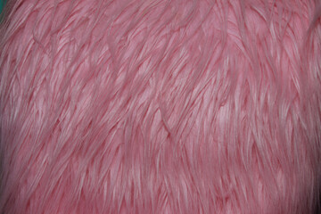 texture and pink fluffy fur in the interior