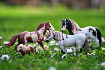 zabawka konia © Izabela&Grzegorz