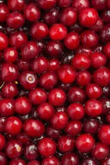 Fresh red cranberries background