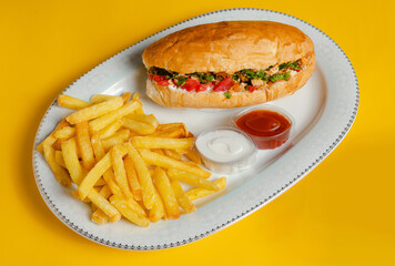 Doner kebab on plate and fries