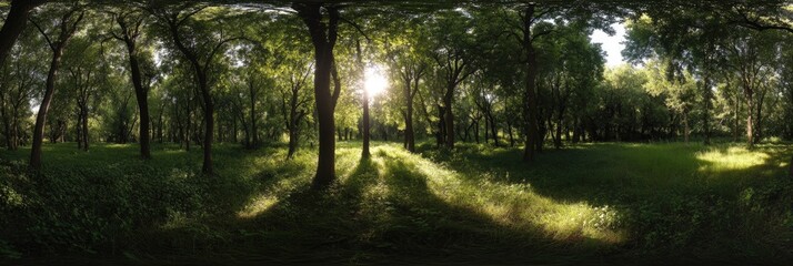 Fototapeta premium Lush Deciduous Forest: Summer Sunshine Filtering Through Vibrant Green Canopy, Inviting Walks on Soft Grass