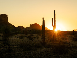 Horizontal image of sunset with sunstar and silhouette saguaro cactus in Saddle Mountain.