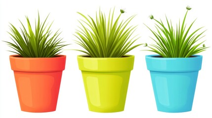 Three Colorful Potted Plants on White Background - Cheerful Home Decor