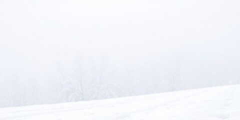 Obraz premium Fresh snow covering the ground in a textured and unspoiled background, winter, frost