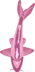 Pink Fish