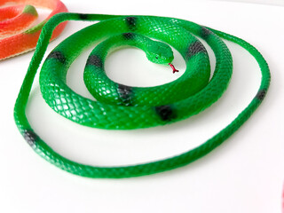 2025, symbol of the year green snake