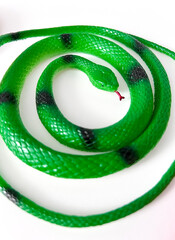 2025, symbol of the year green snake