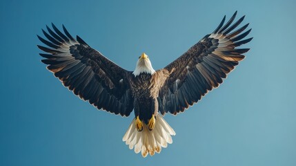 Obraz premium Realistic, majestic Bald Eagle soaring under a bright blue sky with a flowing American flag beneath, vertical orientation for elections