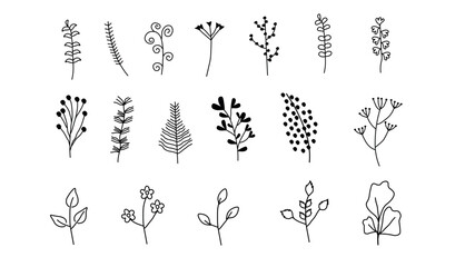 Hand-Drawn Botanical Elements A set of black and white hand-drawn botanical elements featuring leaves, branches, and flowers. Minimalistic, elegant © Anhelina