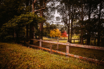 Fagan Park is a large recreational area located in Galston, a semi-rural area in Sydney, New South Wales, Australia. 