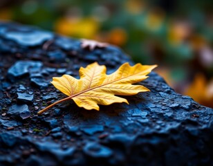 Minimalist Yellow Leaf on Rock, Forest Floor, Soft Lighting, Vaporwave Style for Digital Art