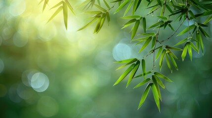 Obraz premium A serene close-up of bamboo leaves with a soft, blurred background, evoking tranquility.