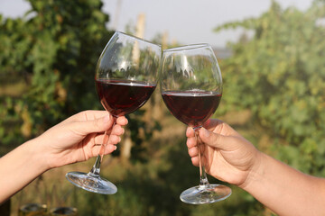 Couple clinking glasses of wine outdoors, closeup