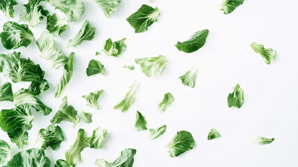 Fototapeta premium Fresh Green Lettuce Leaves Salad Food Healthy Eating Diet Vegetarian Vegan Nature