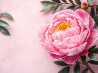 Soft and delicate pink peony flowers create a beautiful and elegant background perfect for wedding invitations, greeting cards, and floral designs, flower, wedding