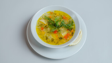 Delicious hot soup bowl isolated 