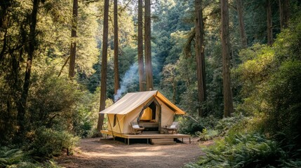camping tent in the forest
