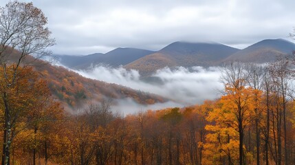 Moody Nature / autumn, scarry and foggy mountains  