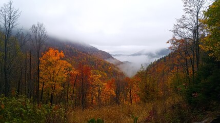 Moody Nature / autumn, scarry and foggy mountains  