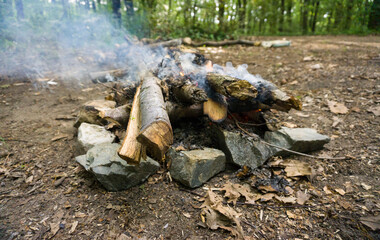 A smouldering campfire with logs stacked over stones emits gentle smoke, surrounded by a forest setting.