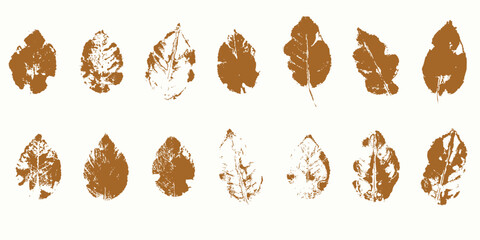 Natural leaves imprint, Grunge style, Vector, Isolated, Decorative elements for design