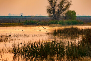 Autumn sunset at Merced National Wildlife Refuge in California