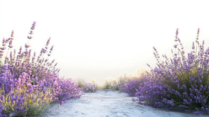 Obraz premium Dreamy Lavender Field: Ethereal Twilight Landscape