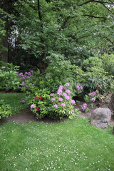 Flowers in the Holland Park, London