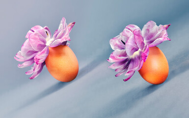 Two eggs with pink flowers roll down the hill on the Low Sunday Holiday, the first Sunday after Easter