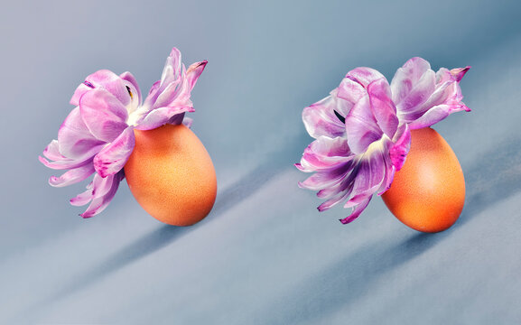 Two eggs with pink flowers roll down the hill on the Low Sunday Holiday, the first Sunday after Easter