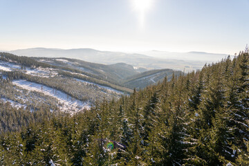 Mountain landscape with snow-covered fir trees in the rays of the sun