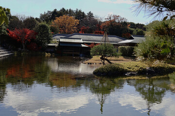Obraz premium 白鳥公園の紅葉の風景