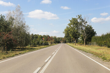 Scenic autumn highway with golden foliage. Empty rural road surrounded by colorful trees and sunny sky. Beautiful natural landscape during fall season, perfect for a countryside drive or trip.