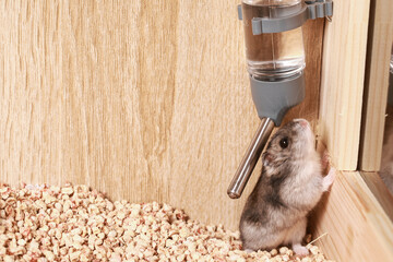 Hamster Water Bottle in Wooden House