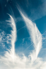 Ethereal cloud patterns are beautifully displayed against a captivating blue sky backdrop