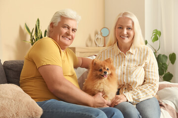 Happy senior couple with Pomeranian dog sitting on sofa at home