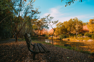 Fagan Park is a large recreational area located in Galston, a semi-rural area in Sydney, New South Wales, Australia. 