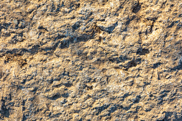 Photo Stone veined pattern useful as a background or texture