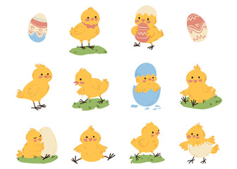 Fototapeta premium A set of cute illustrations of chickens for Easter. Yellow cheerful chickens isolated on a white background. Hand-drawn style illustration