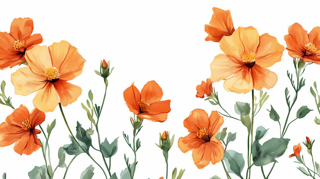 Blooming desert globemallow floral watercolor in warm orange tones on white background. Blooming. Illustration