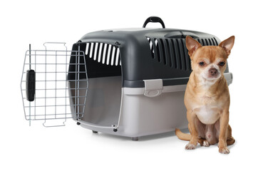 Adorable dog near pet carrier isolated on white